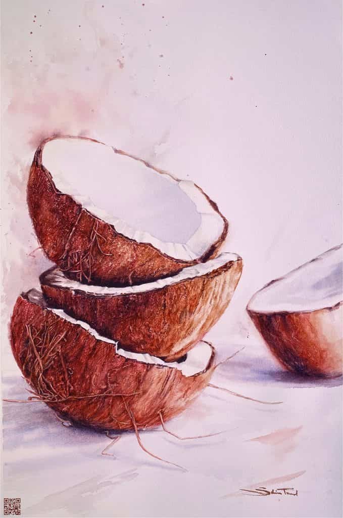 Coconut - Aquarela original: tamanho 56 x 38cm